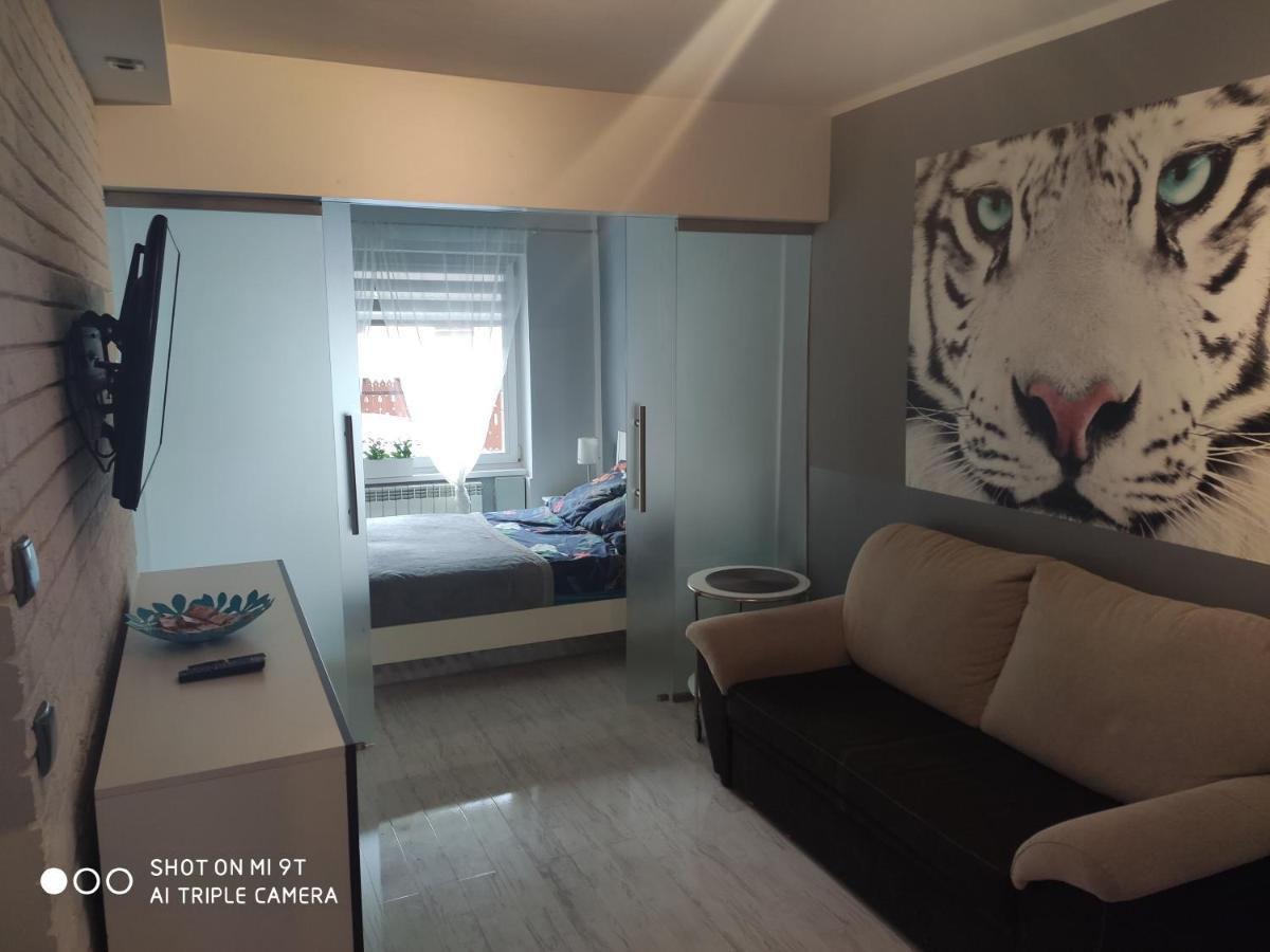 Apartament Tygrys Закопане Экстерьер фото